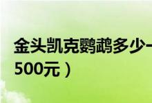 金头凯克鹦鹉多少一只市场价（金刚鹦鹉出售500元）