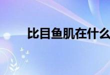 比目鱼肌在什么地方（比目鱼肌在）