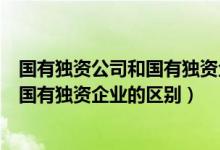 国有独资公司和国有独资企业的区别举例（国有独资公司和国有独资企业的区别）