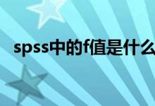 spss中的f值是什么意思（F值是什么意思）