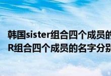 韩国sister组合四个成员的名字分别叫什么英文（韩国SISTER组合四个成员的名字分别叫什么）