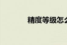 精度等级怎么算（精度等级）