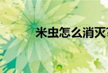 米虫怎么消灭?（米虫怎么消灭）