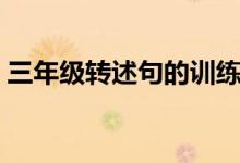 三年级转述句的训练（三年级转述句练习题）