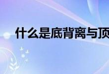 什么是底背离与顶背离（什么是底背离）