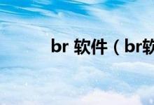 br 软件（br软件是做什么用的）