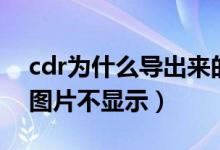cdr为什么导出来的图片是空白的（cdr导出图片不显示）