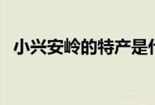 小兴安岭的特产是什么（小兴安岭的特产）