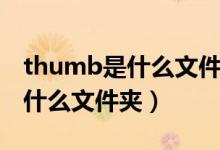 thumb是什么文件夹可以删除吗(thumb是什么文件夹)