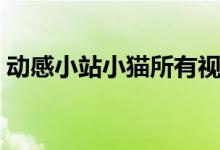 动感小站小猫所有视频大全（动感小站小猫）