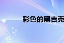 彩色的黑吉克隽逸（彩色的黑）