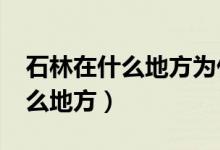 石林在什么地方为什么叫他石林?（石林在什么地方）