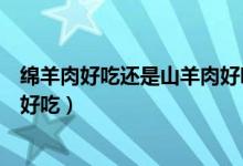 绵羊肉好吃还是山羊肉好吃膻味重（绵羊肉好吃还是山羊肉好吃）