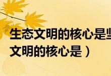 生态文明的核心是坚持人与人和谐共生（生态文明的核心是）