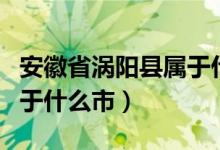 安徽省涡阳县属于什么市的（安徽省涡阳县属于什么市）