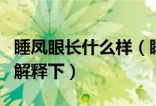 睡凤眼长什么样（睡凤眼是什么样子的求带图解释下）