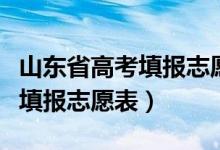 山东省高考填报志愿表填写模板（山东省高考填报志愿表）