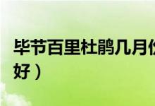 毕节百里杜鹃几月份去好（百里杜鹃几月份去好）