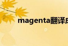 magenta翻译成中文（magenta）
