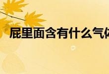 屁里面含有什么气体（屁里含有什么气体）