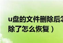 u盘的文件删除后怎么恢复(u盘里的文件删除了怎么恢复)