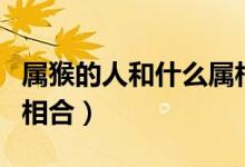 属猴的人和什么属相合婚（属猴的人和什么属相合）