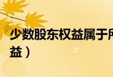 少数股东权益属于所有者权益吗（少数股东权益）