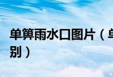 单箅雨水口图片（单箅雨水口和双箅雨水口区别）