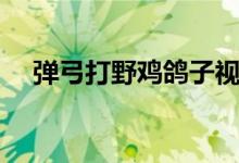 弹弓打野鸡鸽子视频（枪式弹弓打野鸡）