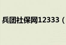 兵团社保网12333（兵团社保网上办事大厅）
