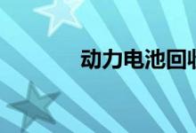 动力电池回收价格（动力电）