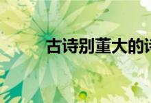 古诗别董大的诗意(别董大诗意)
