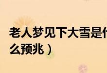 老人梦见下大雪是什么预兆（梦见下大雪是什么预兆）