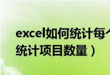 excel如何统计每个项目出现的次数（excel统计项目数量）