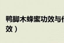 鸭脚木蜂蜜功效与作用及禁忌（鸭脚木蜂蜜功效）