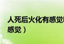 人死后火化有感觉吗?问医生（人死了火化有感觉）