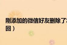 刚添加的微信好友删除了怎么找回（微信好友删除了怎么找回）