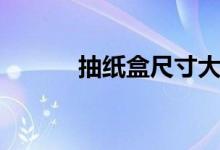 抽纸盒尺寸大小（抽纸盒尺寸）