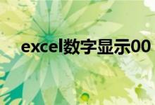 excel数字显示00（excel数字显示000）