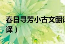 春日寻芳小古文翻译或字（春日寻芳小古文翻译）