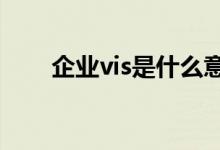 企业vis是什么意思（企业vi是什么）