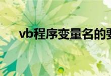 vb程序变量名的要求（vb程序变量名）