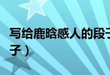 写给鹿晗感人的段子文案（写给鹿晗感人的段子）