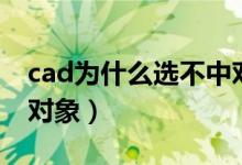 cad为什么选不中对象呢(cad为什么选不中对象)