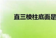 直三棱柱底面是直角吗（直三棱柱）