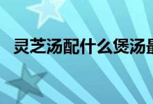 灵芝汤配什么煲汤最好（灵芝煲什么汤好）