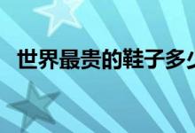 世界最贵的鞋子多少钱（世界最贵的鞋子）