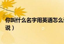你叫什么名字用英语怎么说回答（你叫什么名字用英语怎么说）
