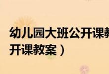 幼儿园大班公开课教案说相反（幼儿园大班公开课教案）