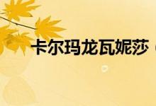 卡尔玛龙瓦妮莎（卡尔马龙与瓦妮莎）